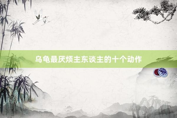 乌龟最厌烦主东谈主的十个动作